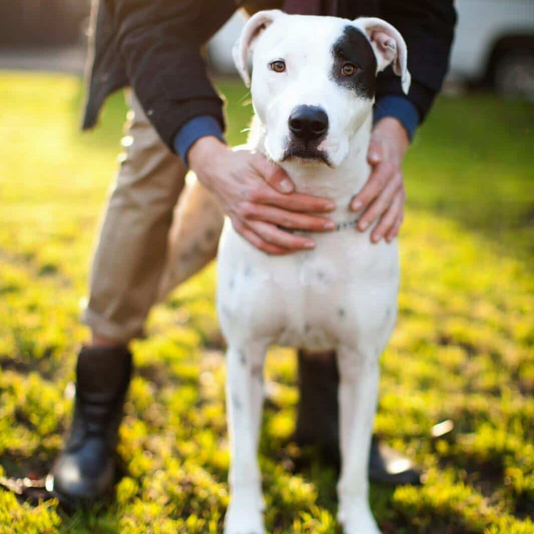 Man holding dog in park Man holding dog in park